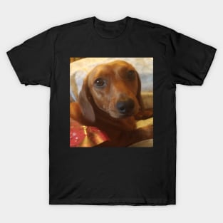 Treacle the dachshund all wrapped up. T-Shirt